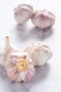 Healthy and nutritious white spicy garlic fruit Royalty Free Stock Photo