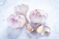 Healthy and nutritious white spicy garlic fruit Royalty Free Stock Photo