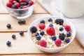 Healthy and nutritious yogurt with cereal and fresh raw berries Royalty Free Stock Photo