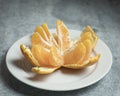 Plump and juicy giant tangerine peeled and ready to eat on a white plate and a concrete counter top with room for text