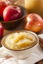 Healthy Organic Applesauce with Cinnamon Royalty Free Stock Photo