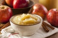 Healthy Organic Applesauce with Cinnamon Royalty Free Stock Photo