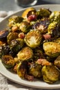 Healthy Organic Baked Brussel Sprouts Royalty Free Stock Photo