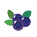 A nature Healthy organic blueberry