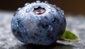 Healthy organic blueberry snack, fresh and ripe generated by AI