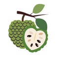 A nature Healthy organic cherimoya