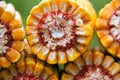 Healthy organic corn
