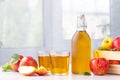 Healthy organic food. Apple cider vinegar or juice in glass bottle and fresh red apples. Royalty Free Stock Photo