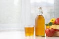 Healthy organic food. Apple cider vinegar or juice in glass bottle and fresh red apples Royalty Free Stock Photo