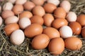 Healthy Organic Food. Chicken eggs in the nest Royalty Free Stock Photo