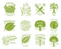 Healthy Organic food logos set or labels and elements for Vegetarian and Farm green natural vegetables products, vector Royalty Free Stock Photo
