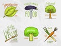 Healthy Organic food logos set or labels and elements for Vegetarian and Farm green natural vegetables products, vector