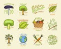 Healthy Organic food logos set or labels and elements for Vegetarian and Farm green natural vegetables products, vector Royalty Free Stock Photo