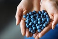 Healthy Organic Food. Woman Hands Full Of Fresh Ripe Blueberries Royalty Free Stock Photo