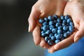 Healthy Organic Food. Woman Hands Full Of Fresh Ripe Blueberries Royalty Free Stock Photo