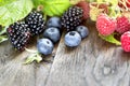 Healthy organic fruit berries - forest fruit, forest berries