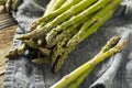 Healthy Organic Green Asparagus Stalks Royalty Free Stock Photo