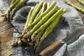 Healthy Organic Green Asparagus Stalks Royalty Free Stock Photo