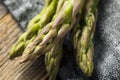 Healthy Organic Green Asparagus Stalks Royalty Free Stock Photo