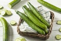 Healthy Organic Green English Cucumbers Royalty Free Stock Photo