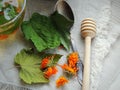 Healthy organic herbal tea with calendula and dry leaves of blackcurrant and mulberry. Royalty Free Stock Photo