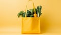 Healthy organic market shopping vegetables bag green diet food fresh supermarket groceries background Royalty Free Stock Photo