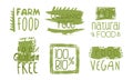 Healthy Organic Natural Farm Food Green Labels Templates Set, Eco Bio Products Badges Hand Drawn Vector Illustration Royalty Free Stock Photo