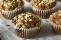 Healthy Organic Seed and Blueberry Muffins Royalty Free Stock Photo