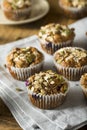 Healthy Organic Seed and Blueberry Muffins Royalty Free Stock Photo