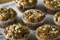 Healthy Organic Seed and Blueberry Muffins Royalty Free Stock Photo