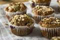 Healthy Organic Seed and Blueberry Muffins Royalty Free Stock Photo