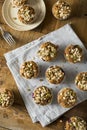 Healthy Organic Seed and Blueberry Muffins Royalty Free Stock Photo