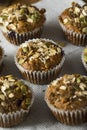 Healthy Organic Seed and Blueberry Muffins Royalty Free Stock Photo