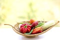 Healthy Organic Vegetables in a Wood Basket Royalty Free Stock Photo