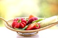 Healthy Organic Vegetables in a Wood Basket Royalty Free Stock Photo