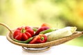 Healthy Organic Vegetables in a Wood Basket Royalty Free Stock Photo