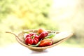 Healthy Organic Vegetables in a Wood Basket Royalty Free Stock Photo