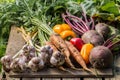 Healthy Organic Vegetables on a Wooden Background Royalty Free Stock Photo