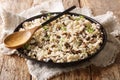 Healthy Orzotto cooked from pearl barley withporcini mushrooms close-up on a plate. horizontal