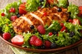 Healthy paleo food: fried chicken breast with fresh berries, lea