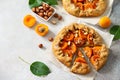 Healthy pastries made from rye flour, dessert diet food. Galette with apricots and nuts on a light stone table. Royalty Free Stock Photo