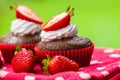 Healthy picnic of coconut chocolate cupcakes with strawberries Royalty Free Stock Photo