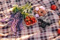 Healthy picnic for a summer vacation with freshly baked croissants, fresh fruit and fruit salad, sandwiches and a glass of Royalty Free Stock Photo