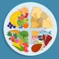 Healthy plate. Inforgaphic of a proper diet