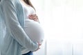 healthy pregnancy. Side view pregnant woman with big belly advanced pregnancy in hands. Banner copyspace for text Royalty Free Stock Photo