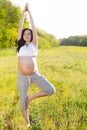 Healthy pregnant woman doing yoga in nature