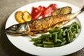 Healthy and proper food, grilled fish and vegetables Royalty Free Stock Photo