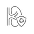 Healthy protected kidney line icon. First aid for filtering blood organ symbol