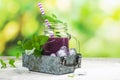 Purple berry smoothie, raw food diet Royalty Free Stock Photo