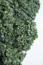 Healthy Raw Green Kale